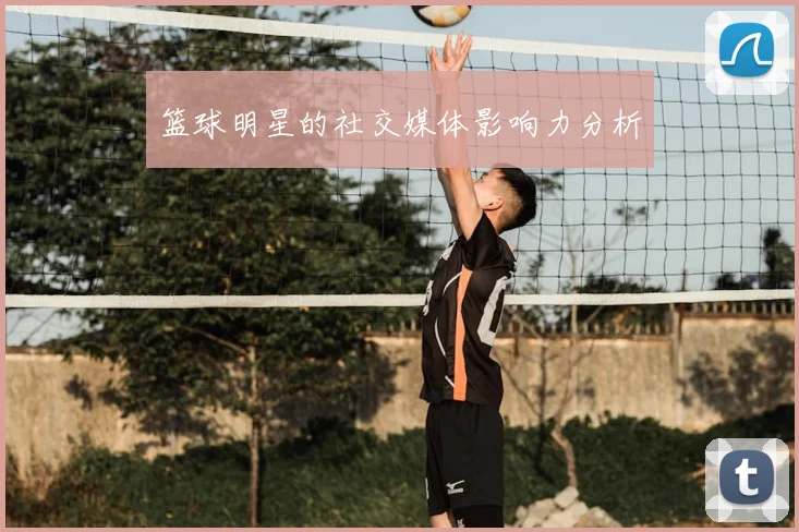 篮球明星的社交媒体影响力分析