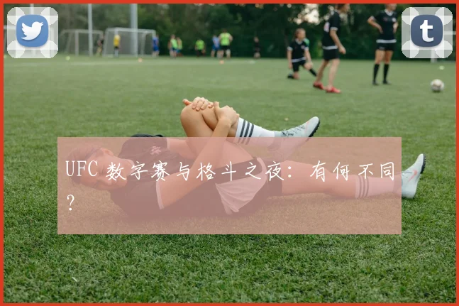 UFC 数字赛与格斗之夜:有何不同?