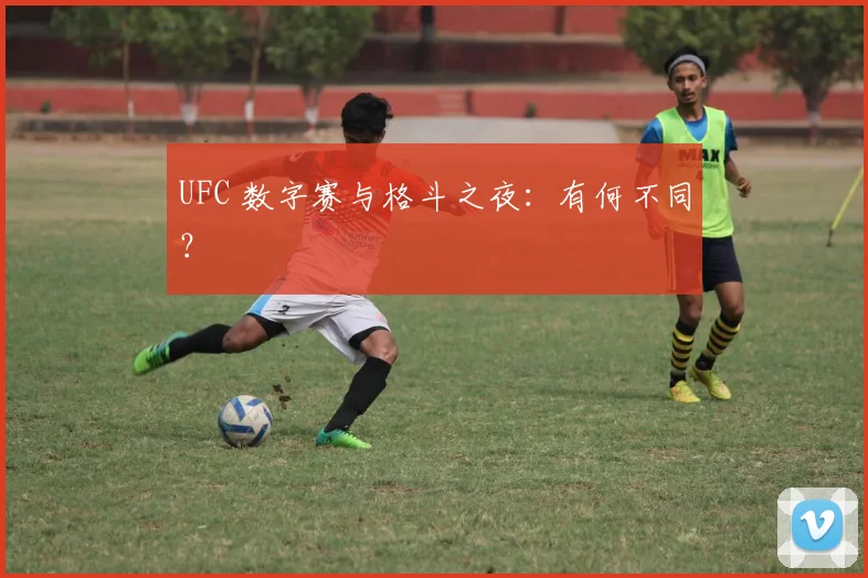 UFC 数字赛与格斗之夜：有何不同？