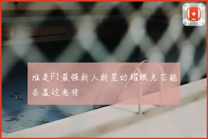 谁是F1最强新人新星的耀眼光芒能否盖过老将
